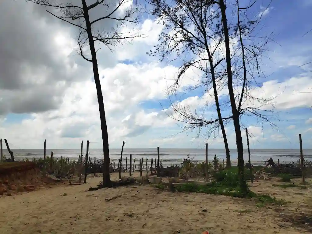 Tajpur Beach