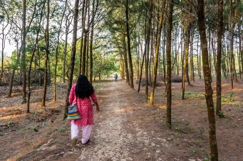 Private forest of abasar resort 