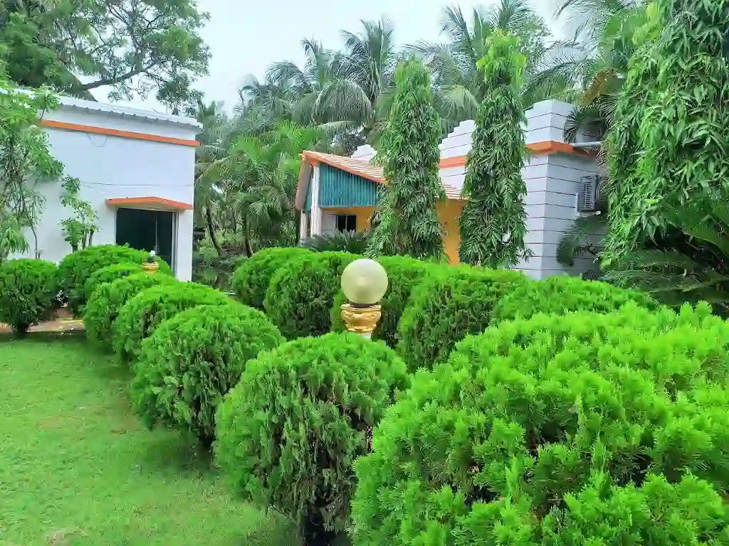 abasar resort